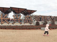 -上海长兴岛郊野公园