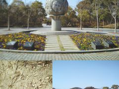 -长广溪湿地公园