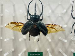 -国家自然博物馆