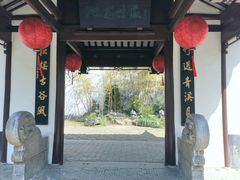 -上海醉白池公园