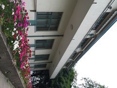 iphone_upload_pic-上海市保健医疗中心(华东疗养院)