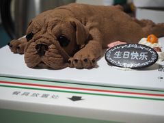 -维尔纳斯·生日蛋糕·动物奶油冰淇淋蛋糕(六里桥店)