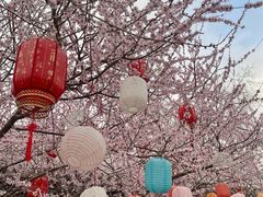 -三里河公园