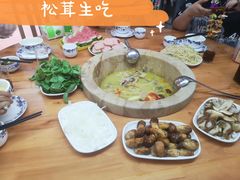 -云南野生菌石锅鱼石锅鸡(大金塔店)