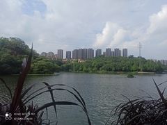 -重庆彩云湖湿地公园