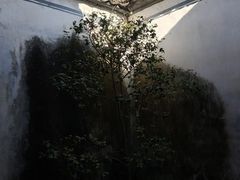 -章太炎故居