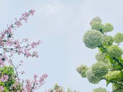 -新时代家居生活广场(古墩店)