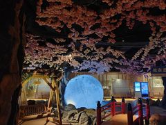 -蓝鲸湾汤泉(包河店)