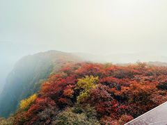 -周口店坡峰岭风景区