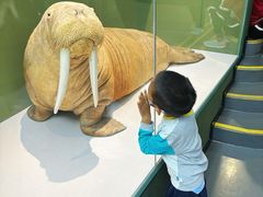 -国家自然博物馆