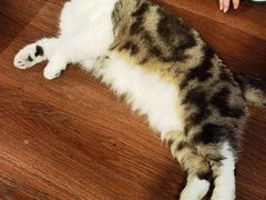 -参差咖啡(水果湖公园店)