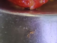 -不夜天烧烤牛骨头(南湖店)