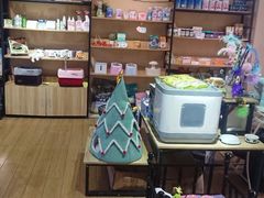 -70cat德文卷毛猫·缅因猫纯种猫舍