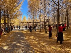-丰台花园