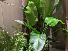 -翕间食·精致淮扬菜(江苏大剧院店)