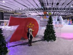 -宁波冰雪大世界(北仑区)