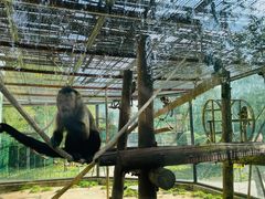 -鄂尔多斯野生动物园