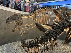 -国家自然博物馆