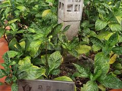 -广州神农草堂中医药博物馆