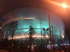 -成都金融城演艺中心