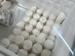 -洪馨椰子
