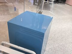 -天真蓝照相馆(杭州滨江宝龙店)