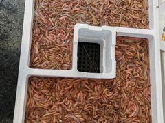 -益利大酒楼(井岸店)