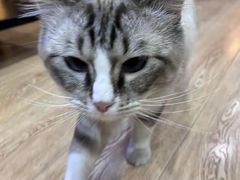 -白兔子密室(长寿路店)