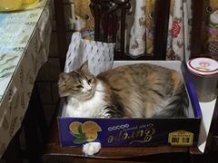 -安安宠物医院(佳林路分院)