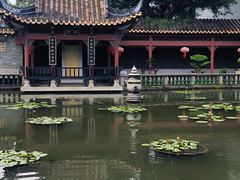 -碧江金楼