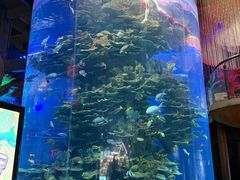 -泉城欧乐堡海洋极地世界