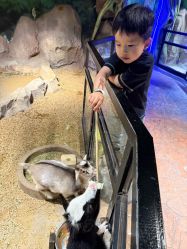 -酷嗒动物文化乐园(cutezoo西溪乐天城店)