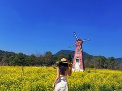 -名花谷生态庄园