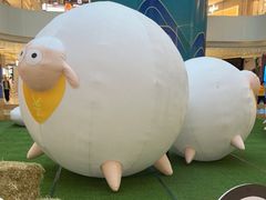 -阳光天地
