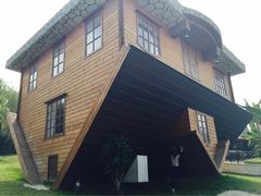 -金山农民画村-枫泾波兰倒置屋