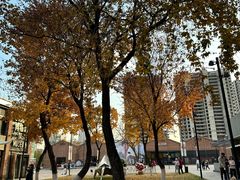 -东北大学（浑南校区）食堂