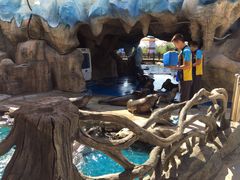 -华夏文旅海洋公园