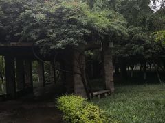 -四川大学博物馆