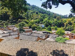-杨家堂村