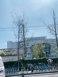 -成都市妇女儿童中心医院(中心院区)