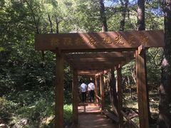 -大岭沟猕猴桃谷风景区