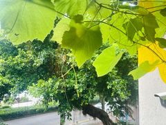 -时光花园(白鹭洲店)