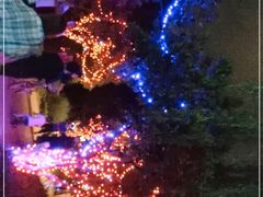 -昆山城市生态森林公园