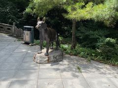 -西安祥峪森林公园
