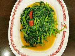 -中国城银都鱼翅酒楼