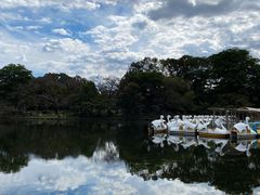 -井之头恩赐公园