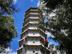 -深圳国际园林花卉博览园