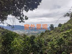 -三亚亚龙湾人间天堂鸟巢度假村