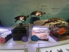 -中国湿地博物馆