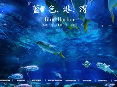 -大连圣亚海洋世界